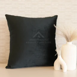 Orin Filled Cushions